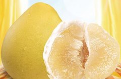 柚子苦是怎么回事柚子肉能吃吗