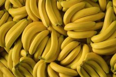 吃香蕉会胖吗减肥可以吃香蕉吗