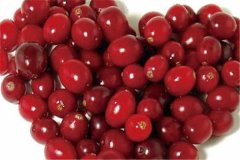 蔓越莓是什么水果功效作用有哪些